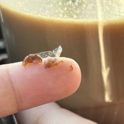 Mochinut Poway - A piece of plastic in their boba