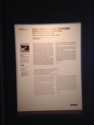 Museum of ancient Arles and Provence by null