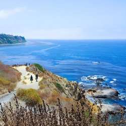 Bluff Cove - Went downhill from the start