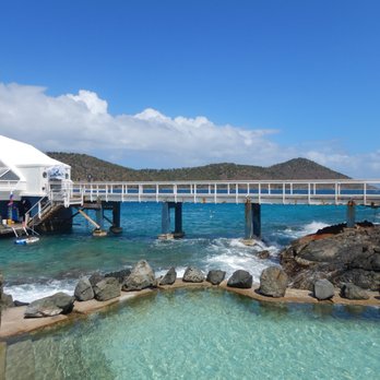 Coral World Ocean Park - Aquariums Near Me - St Thomas, Virgin Islands Coral World Ocean Park - Aquariums Near Me - St Thomas, Virgin Islands