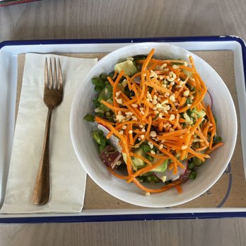 Malibu Poke - Small Create Your Own Bowl - Poke Near Me - Dallas, Texas Malibu Poke - Small Create Your Own Bowl - Poke Near Me - Dallas, Texas