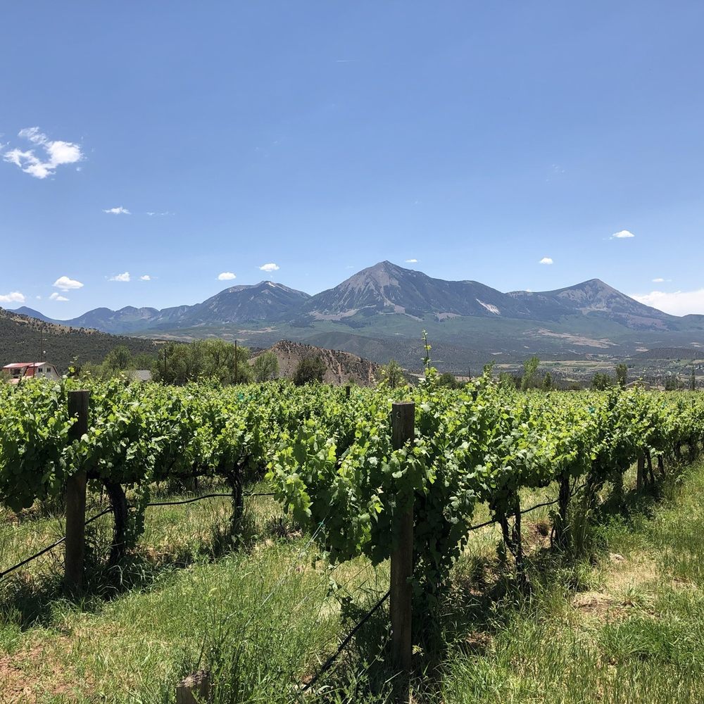Stone Cottage Cellars - View from Stone Cottage Vineyards - Wineries Near Me - Paonia, Colorado Stone Cottage Cellars - View from Stone Cottage Vineyards - Wineries Near Me - Paonia, Colorado