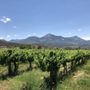 Photo of Stone Cottage Cellars