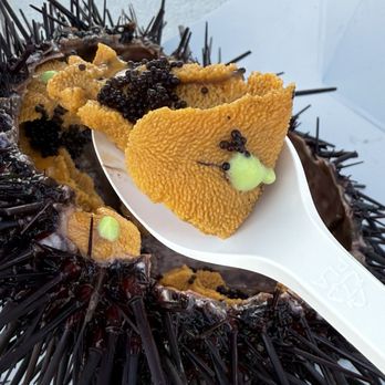 Santa Barbara Uni - Santa Barbara Uni - Seafood Markets Near Me - Santa Barbara, California Santa Barbara Uni - Santa Barbara Uni - Seafood Markets Near Me - Santa Barbara, California