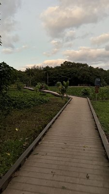 Ha'ena State Park by null