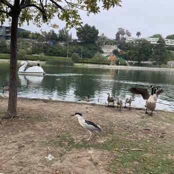 Echo Park Lake - Parks Near Me - Los Angeles, California