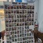Photo of PopCult