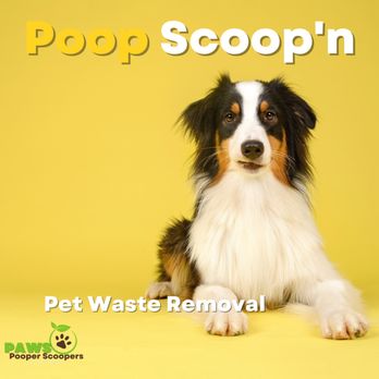 PAWS Pooper Scoopers - Website:
https://www.pawspooperscoopers.com
Find us on Google Maps:
https://goo.gl/maps/tkkFpVtJGFdLGLe9A - Pet Waste Removal Near Me - Fort Worth, Texas PAWS Pooper Scoopers - Website:
https://www.pawspooperscoopers.com
Find us on Google Maps:
https://goo.gl/maps/tkkFpVtJGFdLGLe9A - Pet Waste Removal Near Me - Fort Worth, Texas