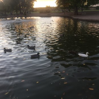 Mariposa Basin Park - Parks Near Me - Albuquerque, New Mexico