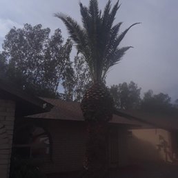 After pruning
