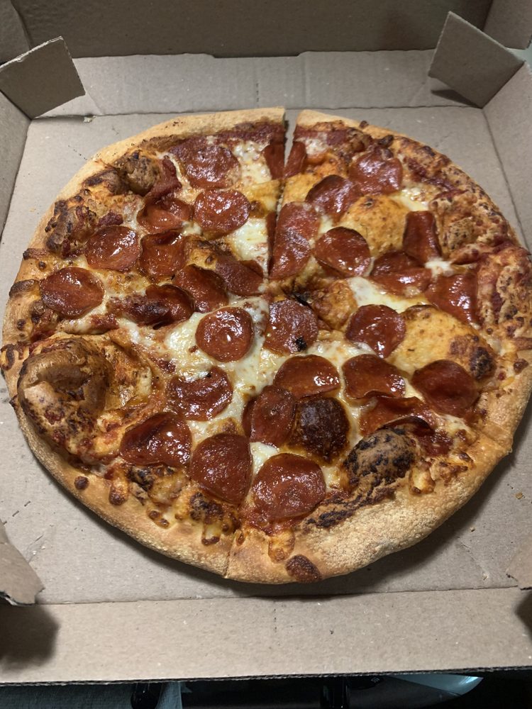 Domino's Pizza Logo