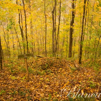 Walls of Jericho - Don't even think about getting off the switchbacks here. LOL - Hiking Near Me - Estillfork, Alabama Walls of Jericho - Don't even think about getting off the switchbacks here. LOL - Hiking Near Me - Estillfork, Alabama