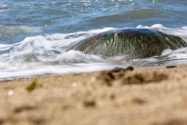 Bowling Ball Beach Trailhead by null
