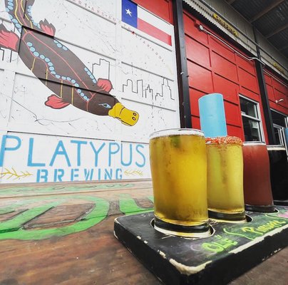Platypus Brewing by null