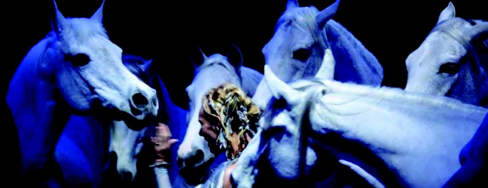 Grande Liberte Farm - equestrian in Williston, FL