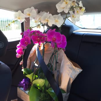 Flora Clay - Florists Near Me - Los Angeles, California Flora Clay - Florists Near Me - Los Angeles, California