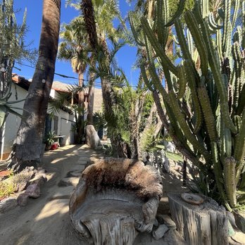 Moorten Botanical Garden - Nurseries & Gardening Near Me - Palm Springs, California Moorten Botanical Garden - Nurseries & Gardening Near Me - Palm Springs, California