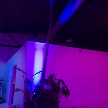 Casa Luz - Open space for yoga - Art Galleries Near Me - Houston, Texas