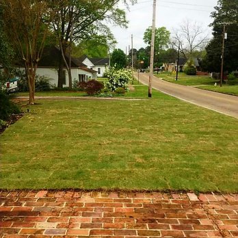 Silver Leaf Construction - a view of a residential neighborhood - Landscaping Near Me - West Point, Mississippi Silver Leaf Construction - a view of a residential neighborhood - Landscaping Near Me - West Point, Mississippi