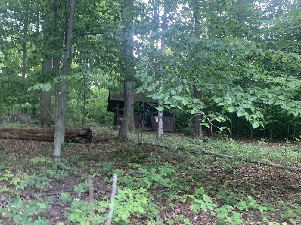 GIRL SCOUTS OF NIAGARA COUNTY Updated June 2024 62 Photos 5000