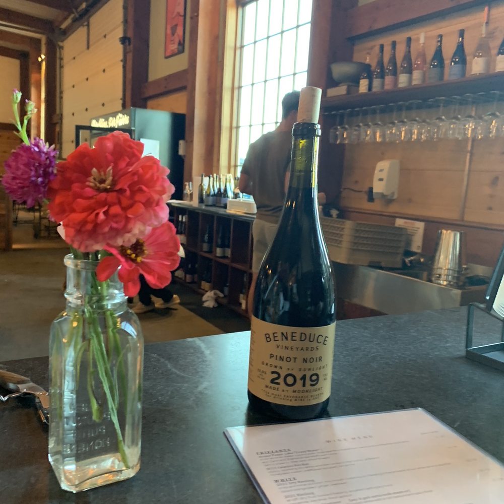 Beneduce Vineyards - Pinot noir - loved it! - Wineries Near Me - Pittstown, New Jersey Beneduce Vineyards - Pinot noir - loved it! - Wineries Near Me - Pittstown, New Jersey