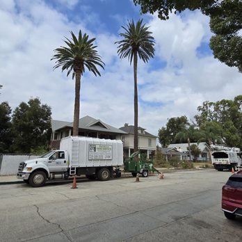 Padilla Tree Service - Hauling truck. and crane truck - Tree Services Near Me