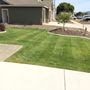 Photo of Levi’s Lawn Care
