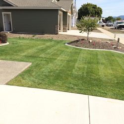 Levi’s Lawn Care