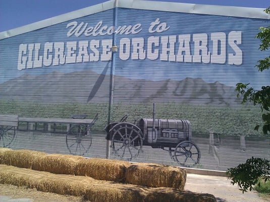 Gilcrease Orchard by null