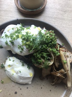 Pollen Bakery by null