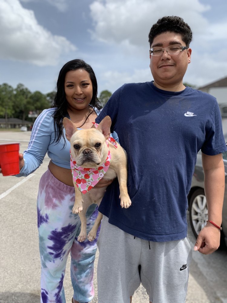 Fresh Tails Dog Grooming Services - pet boarding facility in Houston, TX