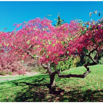 F.A. Seiberling Nature Realm - Love It!! - Parks Near Me - Akron, Ohio F.A. Seiberling Nature Realm - Love It!! - Parks Near Me - Akron, Ohio