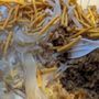 Photo of Golden Dragon