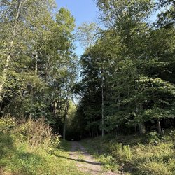 Braddock's Grave - Trace road where Braddock was buried
