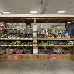CountryMax - Bulk treats
