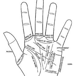 Gina's Psychic Reading's of Rockport