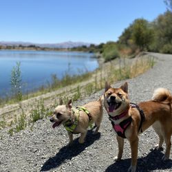 Alameda Creek Trail - Enjoying