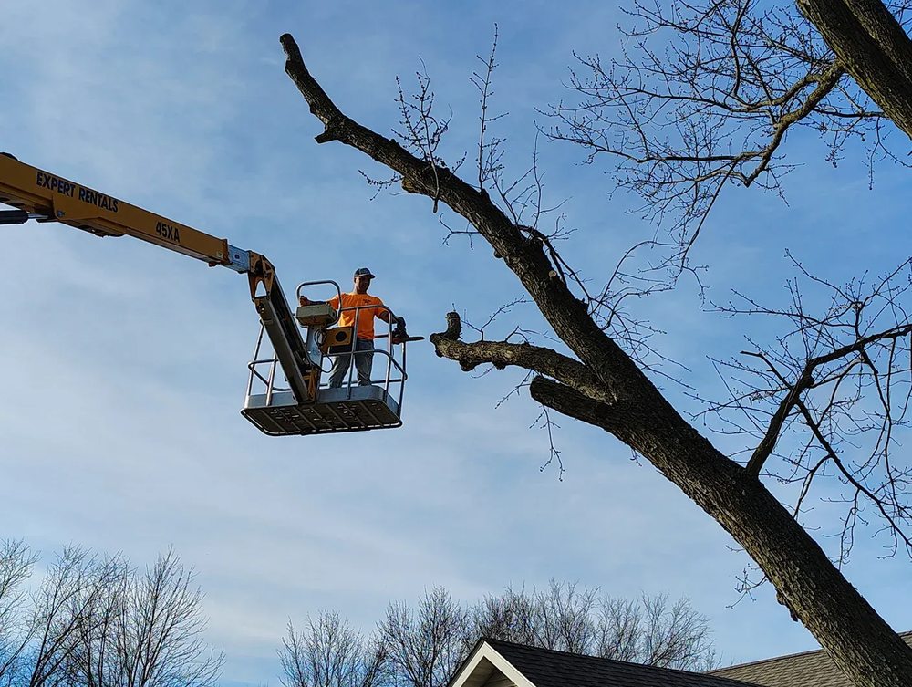 Patriot Tree Service - veterans service organization in Foristell, MO