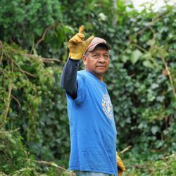 Antonio Tree Service