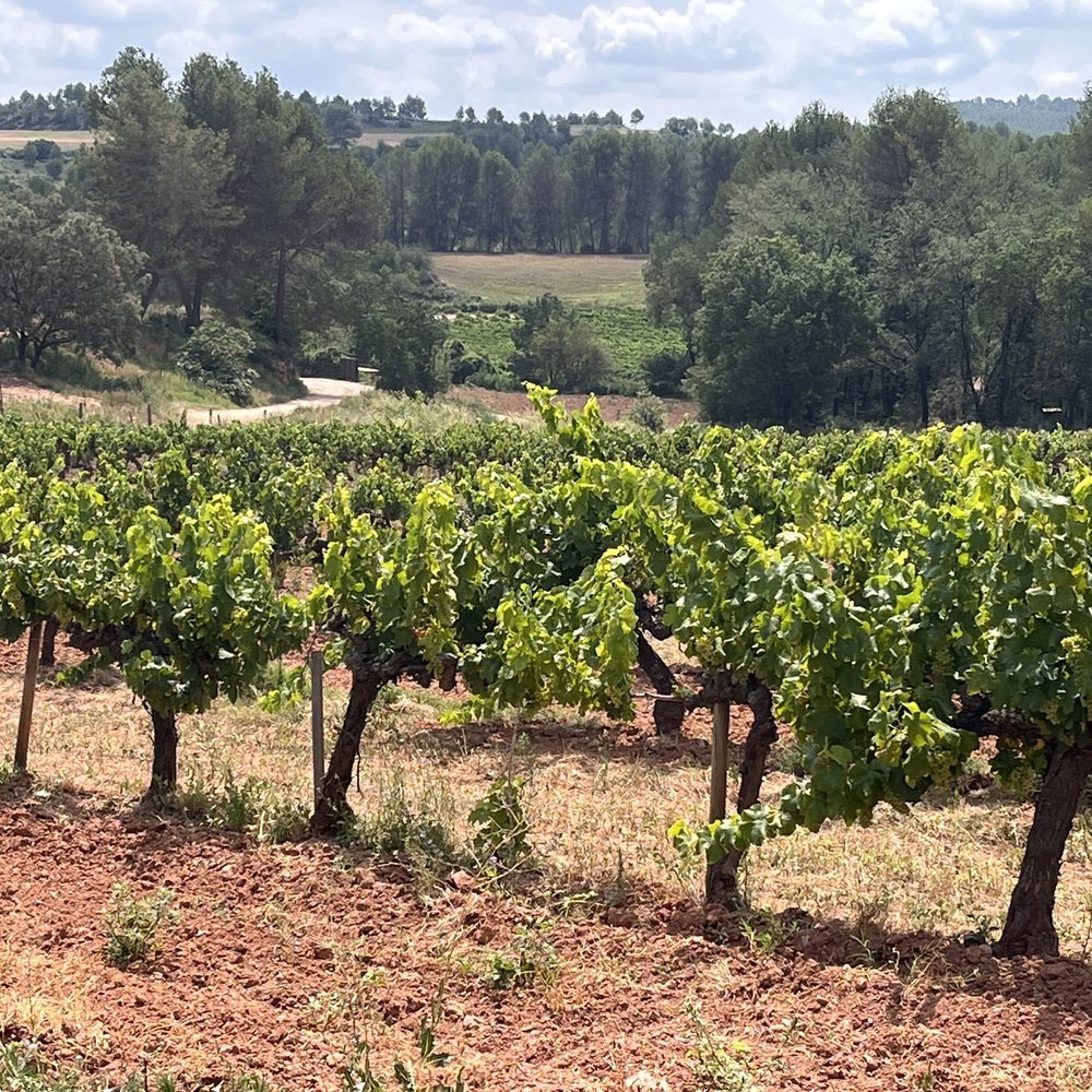 Castlexperience - Wine Tours Near Me - Barcelona, B
