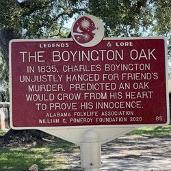 Boyington Oak