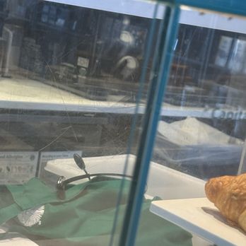 Starbucks - Little flying bugs in food case - Coffee & Tea Near Me - Burtonsville, Maryland