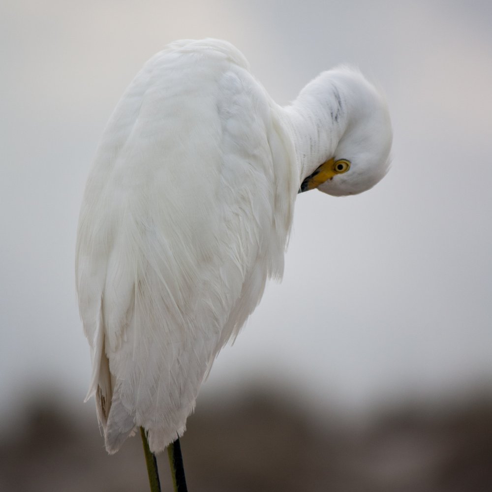 Smryna Dunes Park - Parks Near Me - New Smyrna Beach, Florida