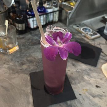 The Ice Plant - "Dancing to cat guitar" - Cocktail Bars Near Me - St. Augustine, Florida The Ice Plant - "Dancing to cat guitar" - Cocktail Bars Near Me - St. Augustine, Florida