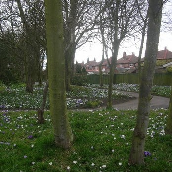 Botanic Gardens - From website - Parks Near Me - Southport, XMS