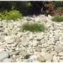 Photo of Turf-N-Soil Landscaping