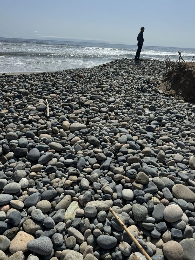 San Onofre State Beach Logo