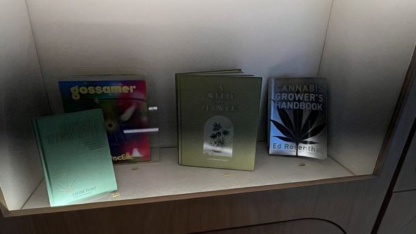 Farnsworth Fine Cannabis Company || Great Barrington Marijuana Dispensary by null