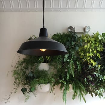 Curio Coffee - Coffee & Tea Near Me - Cambridge, Massachusetts