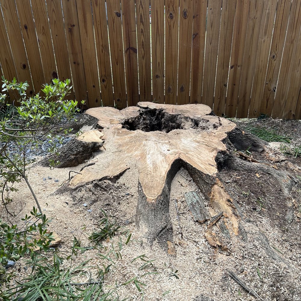 D&A Tree Service - Tree Services Near Me - High Point, North Carolina